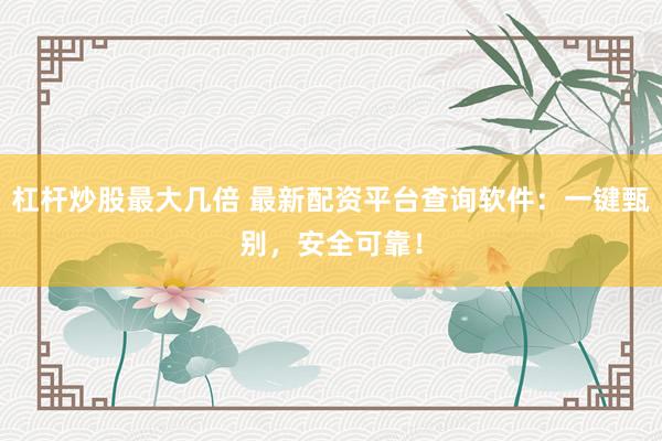 杠杆炒股最大几倍 最新配资平台查询软件：一键甄别，安全可靠！