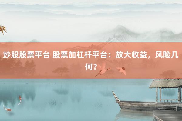 炒股股票平台 股票加杠杆平台：放大收益，风险几何？