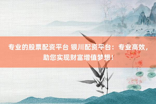 专业的股票配资平台 银川配资平台：专业高效，助您实现财富增值梦想！