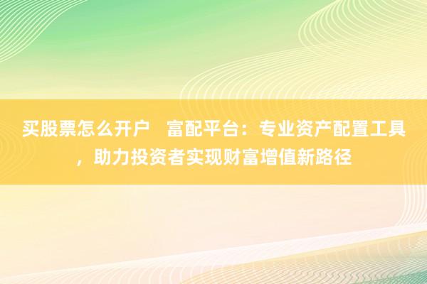 买股票怎么开户   富配平台：专业资产配置工具，助力投资者实现财富增值新路径