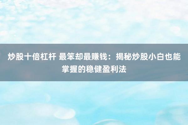 炒股十倍杠杆 最笨却最赚钱：揭秘炒股小白也能掌握的稳健盈利法
