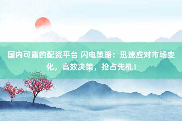 国内可靠的配资平台 闪电策略：迅速应对市场变化，高效决策，抢占先机！