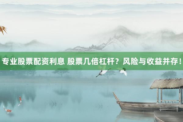 专业股票配资利息 股票几倍杠杆？风险与收益并存！