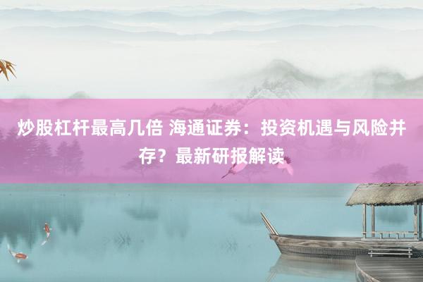 炒股杠杆最高几倍 海通证券：投资机遇与风险并存？最新研报解读