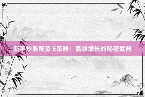 新手炒股配资 E策略：高效增长的秘密武器