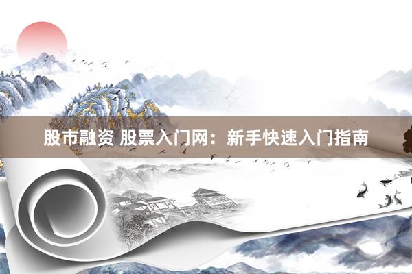 股市融资 股票入门网：新手快速入门指南