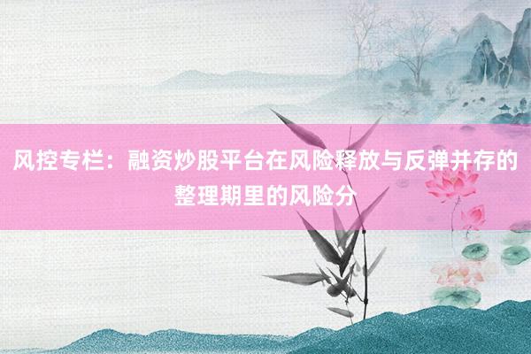 风控专栏：融资炒股平台在风险释放与反弹并存的整理期里的风险分