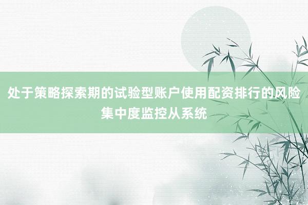 处于策略探索期的试验型账户使用配资排行的风险集中度监控从系统