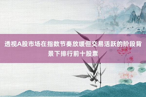 透视A股市场在指数节奏放缓但交易活跃的阶段背景下排行前十股票