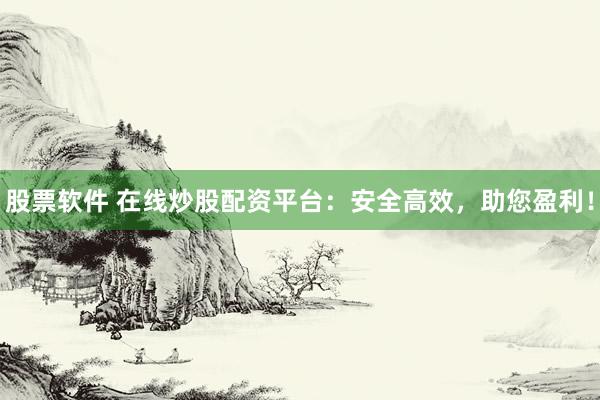 股票软件 在线炒股配资平台：安全高效，助您盈利！